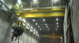 Waste Handling Crane